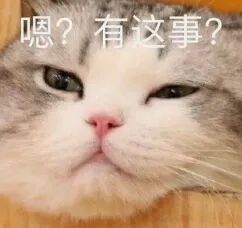 汕头彩超怎么样孕期检查＂划重点＂,为什么四维彩超这么重要？「汕头妇产科医院」_https://www.jmylbn.com_新闻资讯_第3张