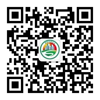 “净美城市”市政环卫专项整治百日行动丨市政环卫服务中心11月14日战报