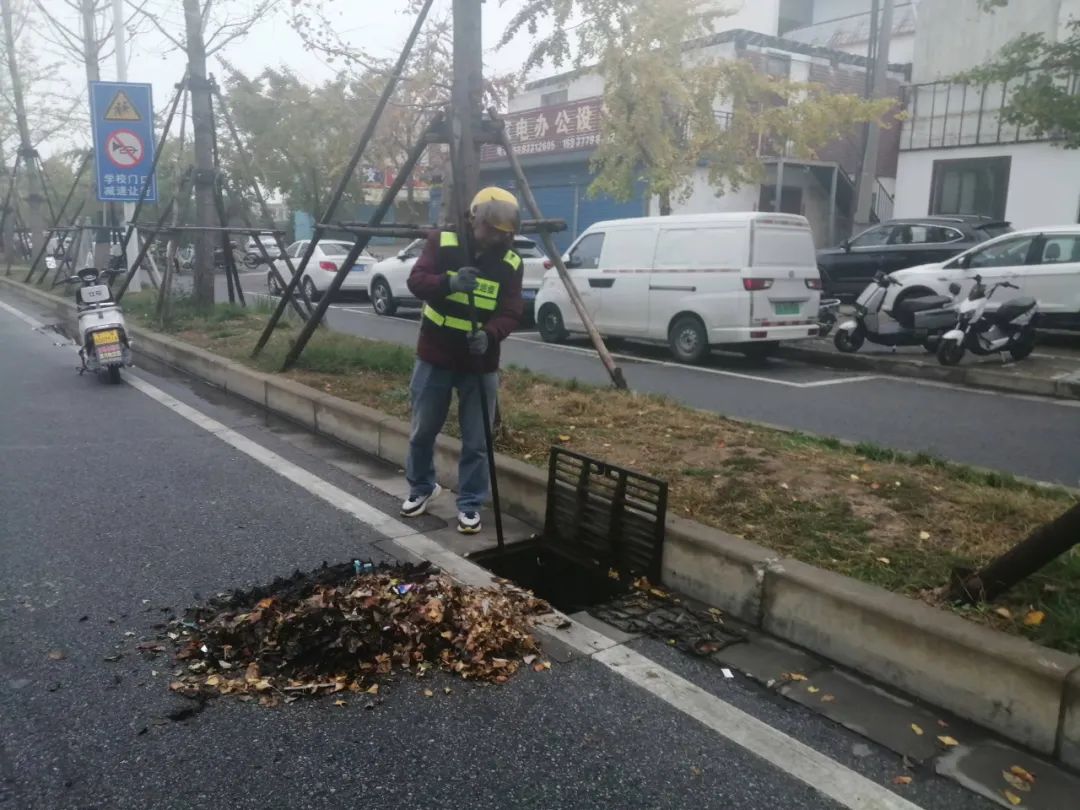 “净美城市”市政环卫专项整治百日行动丨市政环卫服务中心11月14日战报