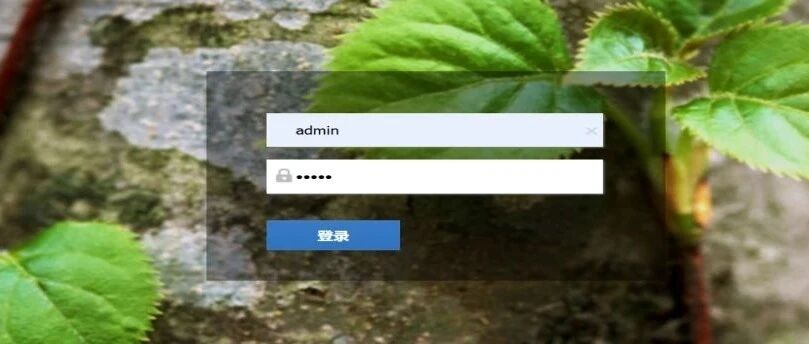 Example Image
