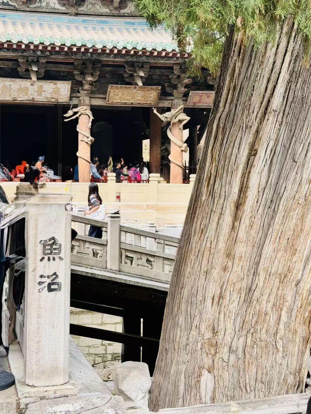 万豪合并喜达屋10年常旅客回顾 太原晋祠天龙山一日游攻略