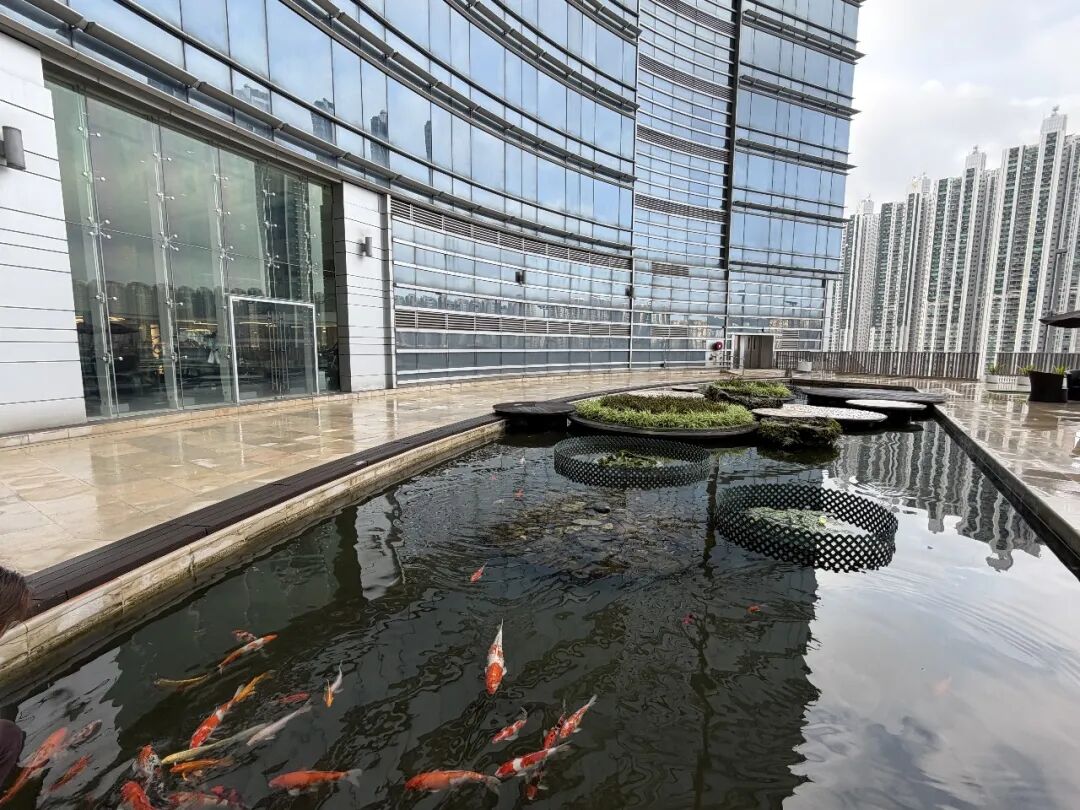 香港荃湾西如心酒店72楼海景套房体验 面积60平景观佳