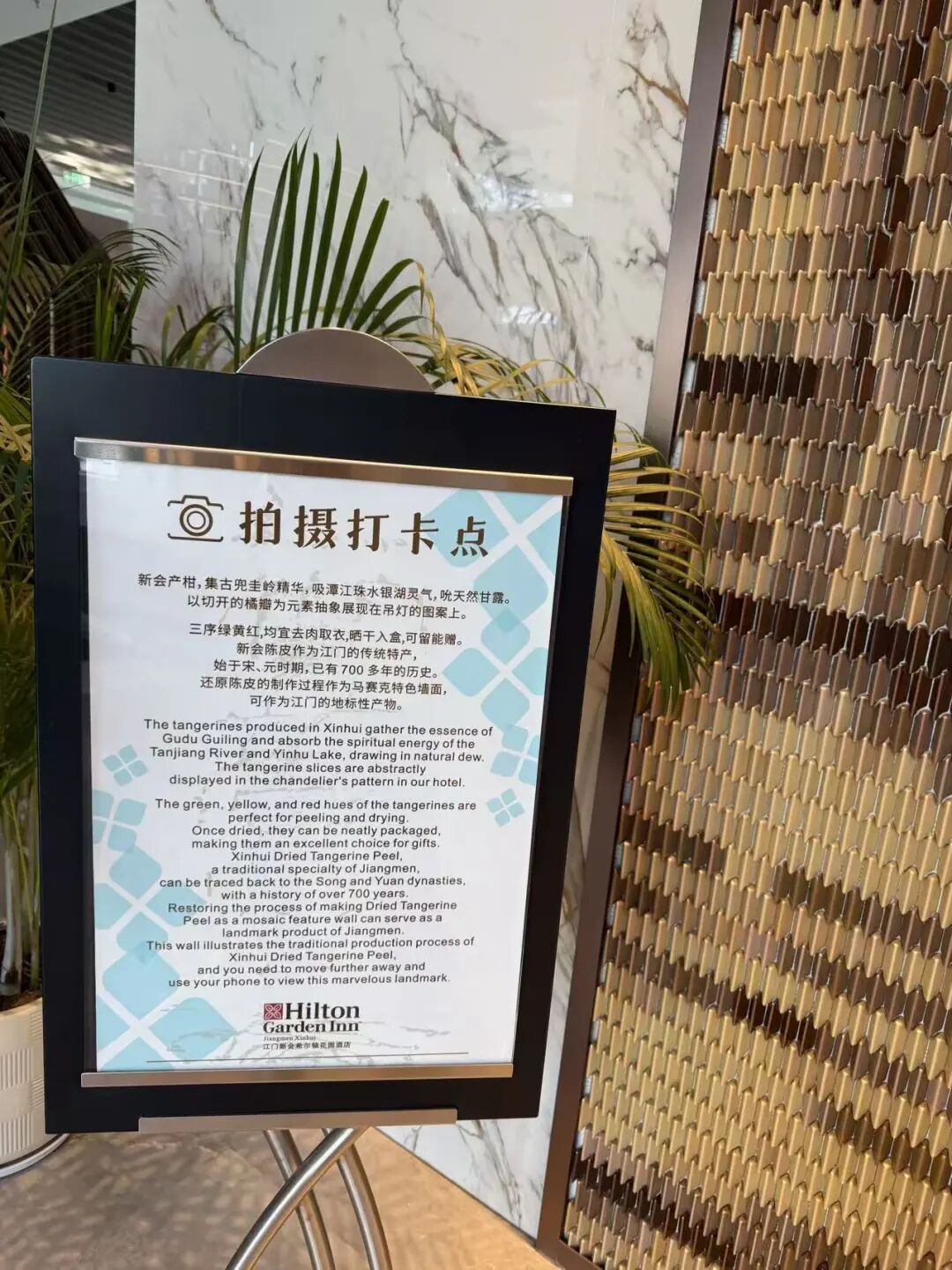 江门希尔顿网红图书馆酒店体验 亲子阅读打卡与工业风景观