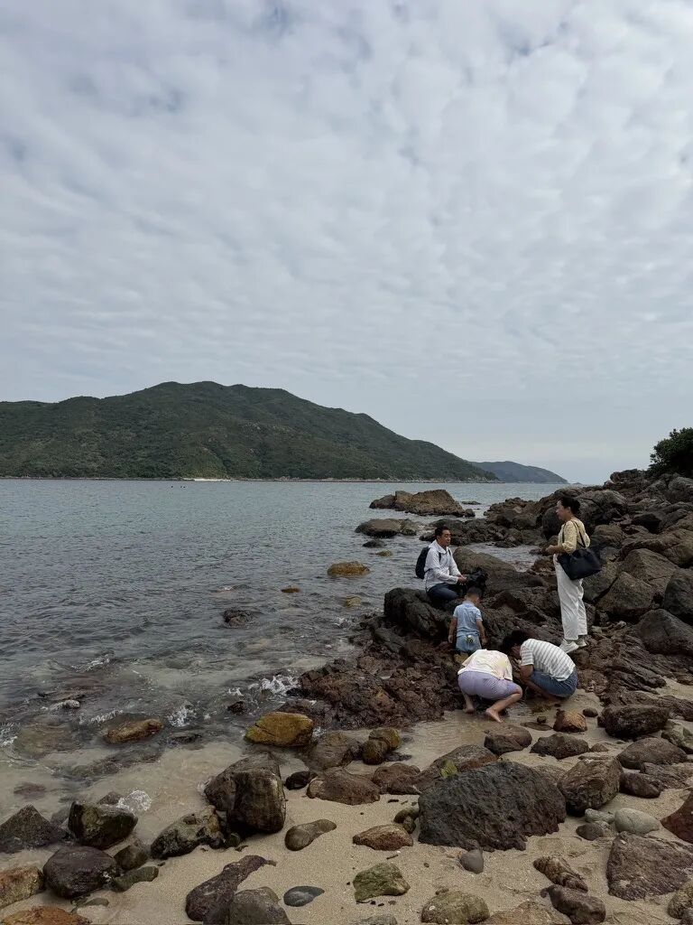 香港西贡半月湾桥咀洲攻略 40港币坐船解锁玻璃海