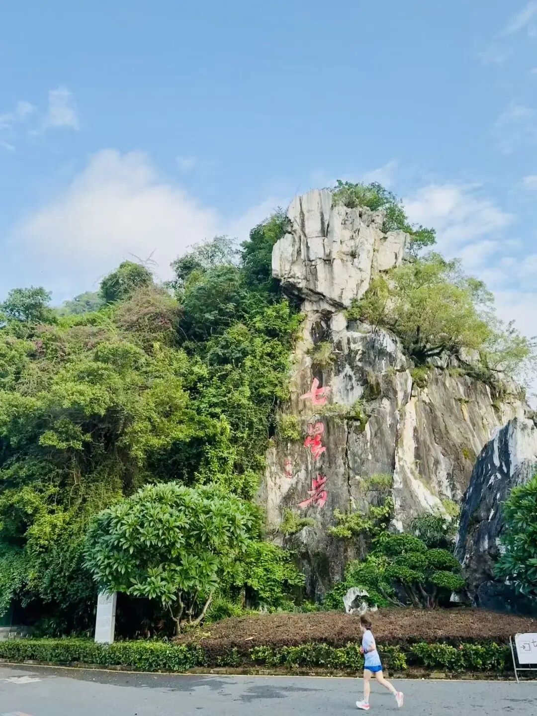 肇庆扒鸭美食探店 星湖晨跑怀旧之旅 简单满足的粤西停留
