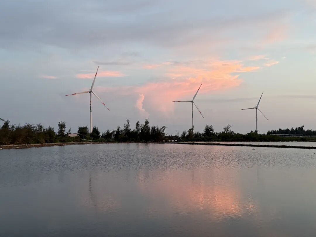 徐闻南极村旅游攻略：灯楼角与合水线自驾游玩体验
