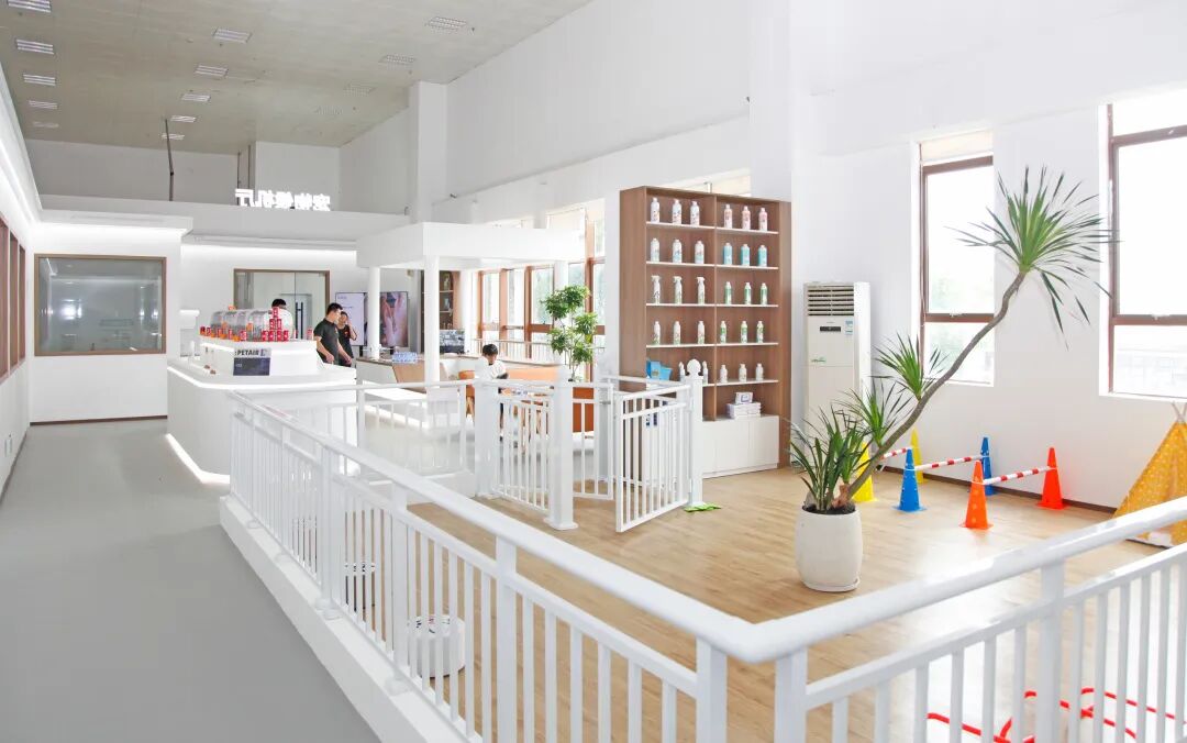 全国首家宠物候机厅来了，网友：“毛孩子”不肯走怎么办？