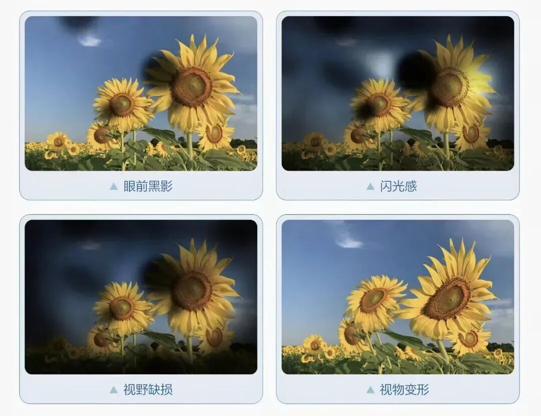 微信图片_20260427151754_5248_21.jpg