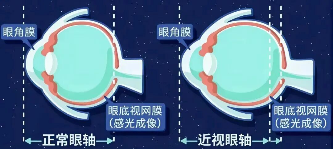微信图片_20260427151721_5242_21.jpg