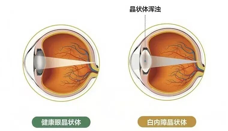 微信图片_20260525162342_5806_21.jpg
