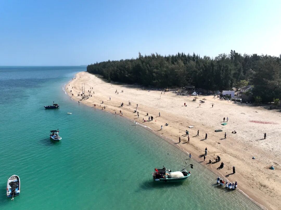 今日海南跑好开年第一棒确保实现开门红昌江将抢招商抓项目促投资作为