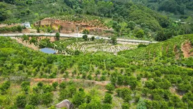 “船埔镇科技小院”古梅院航拍图。邓浩 摄