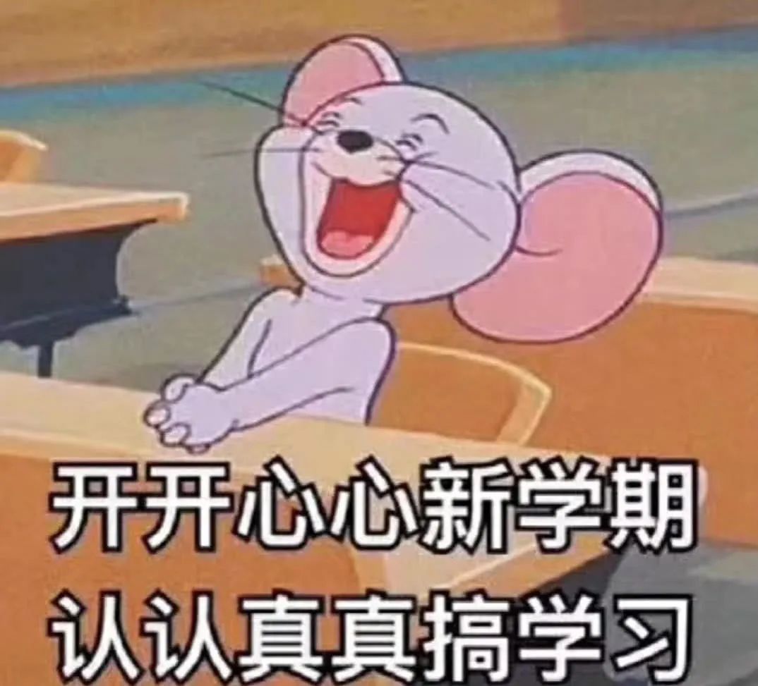 考拉币是什么意思