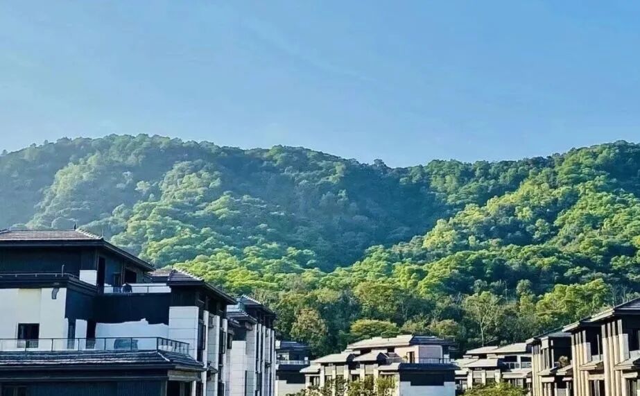 白云珠光云山壹号怎么样？能不能入手？