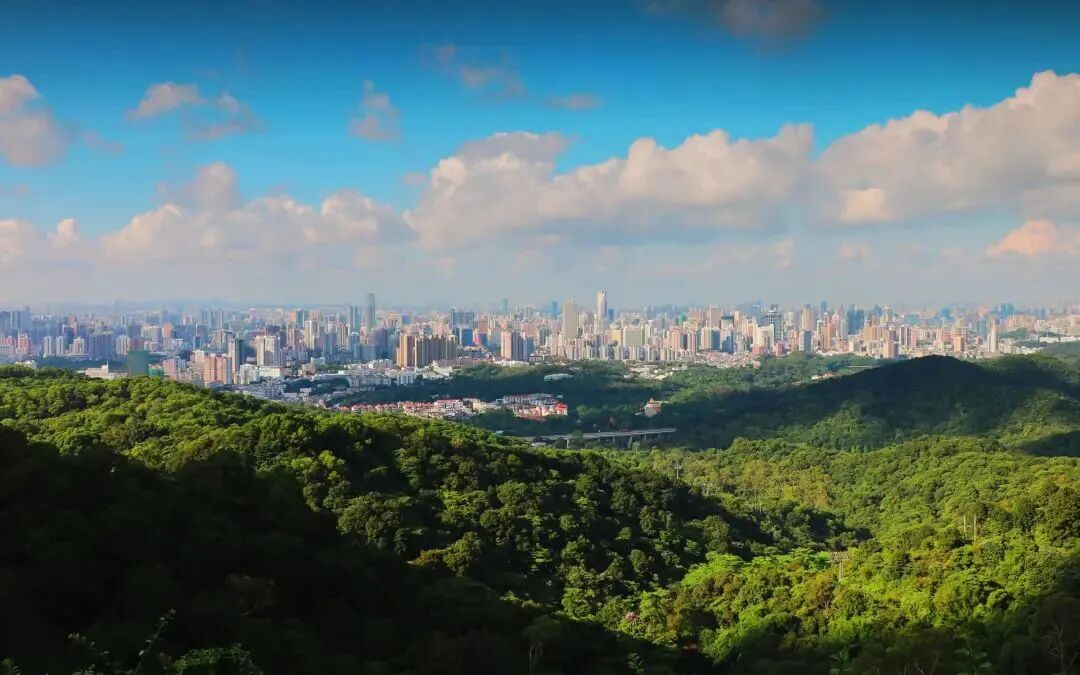 白云中海麓府126-170㎡大平层，特惠单价5.9万起!