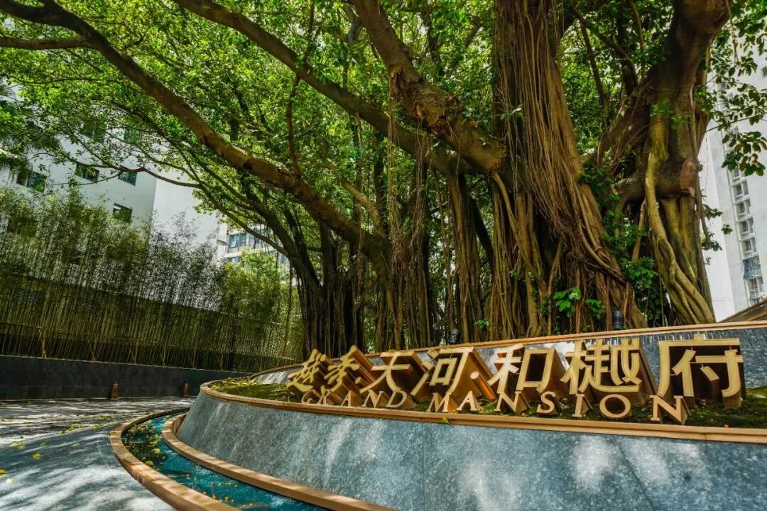 越秀天河和樾府单价7.3万，项目优缺点分析！