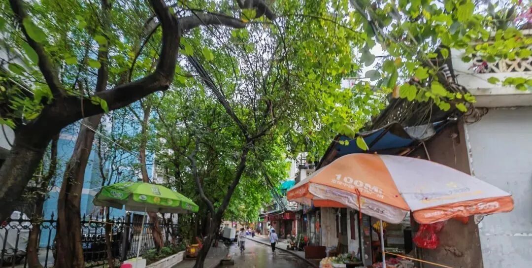 荔湾学位房即将上新，力迅荔筑VS珠实西关壹品，应该怎么选？