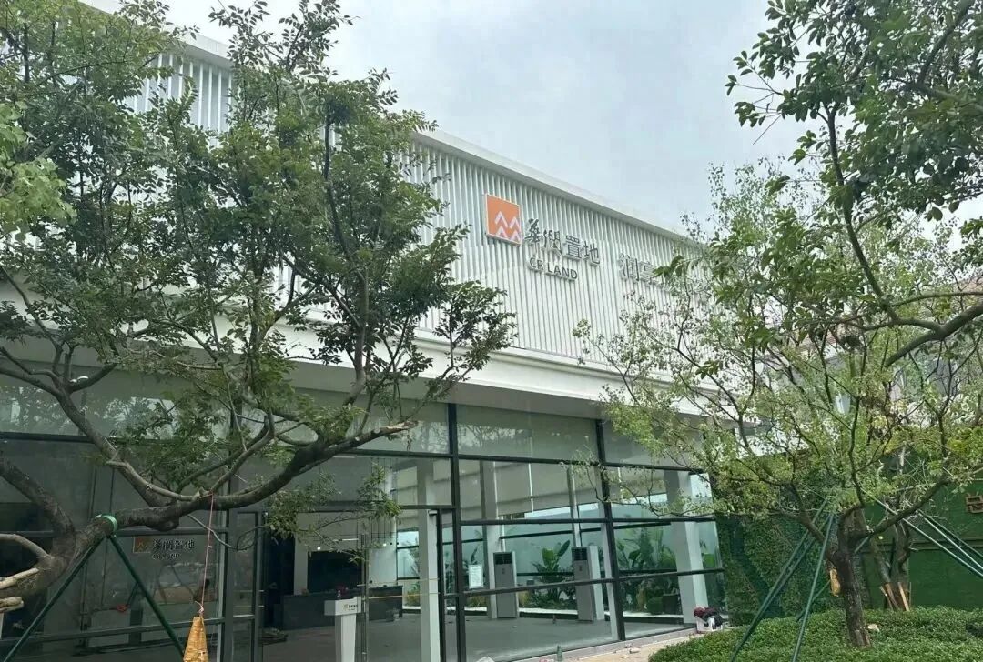 金九开打！第一个周末8盘出击，有盘连夜成交