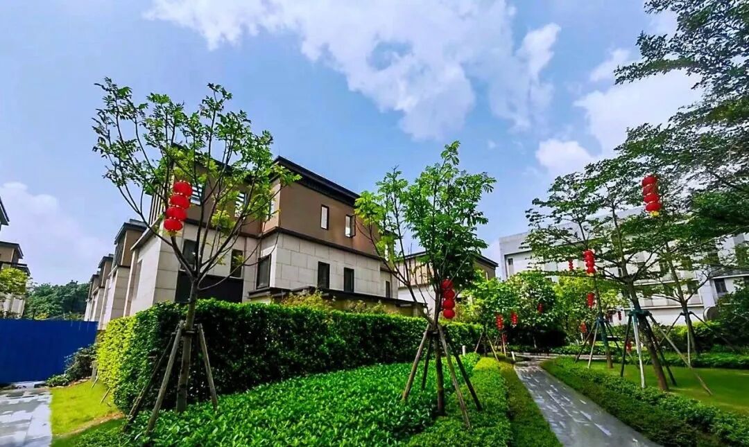 白云合景朗云现楼91-121m²，单价3字头！