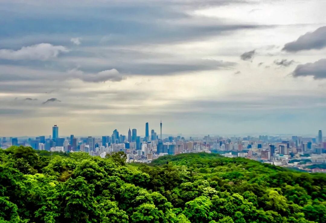 白云在售新房有哪些？值不值得买？