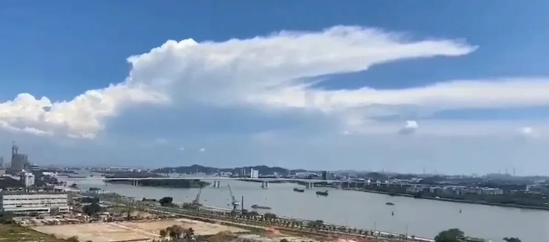 广州金融城在售新房集合，均价7万+起