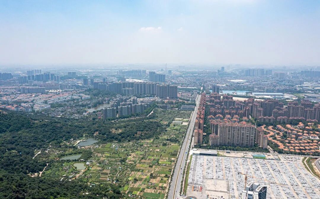 增城陈家林板块在售楼盘，哪个更值得买？