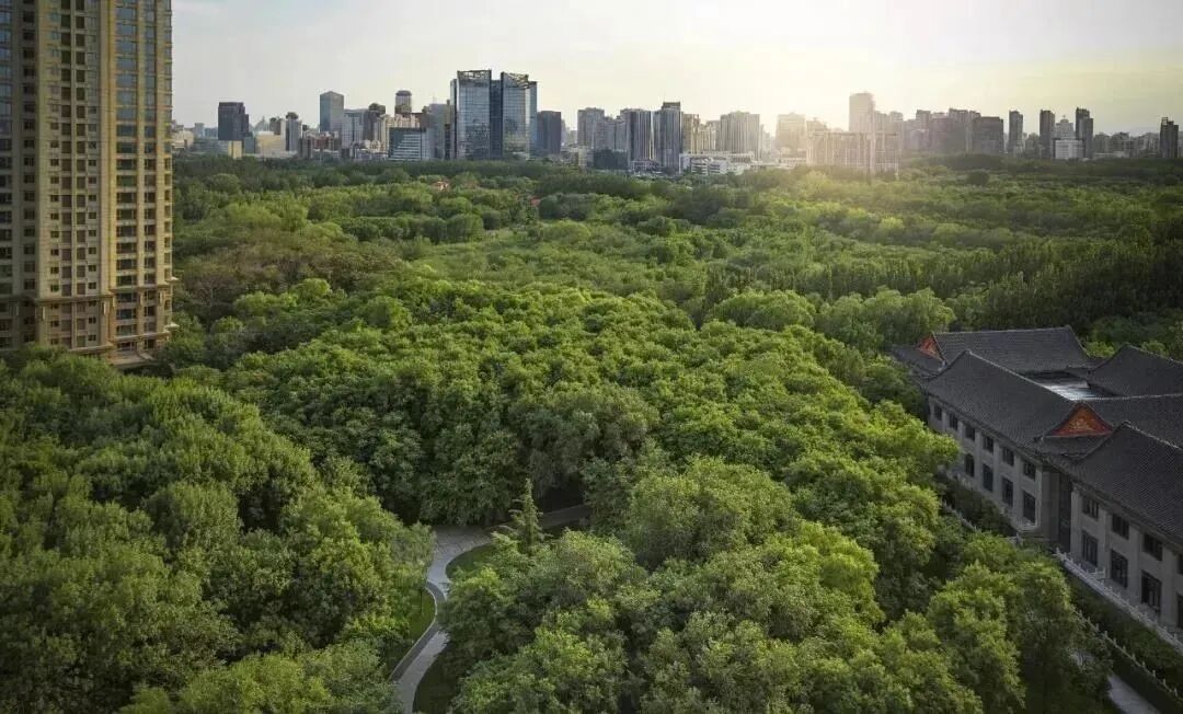 合生缦云广州145-260方，7万+/平值得选择吗？