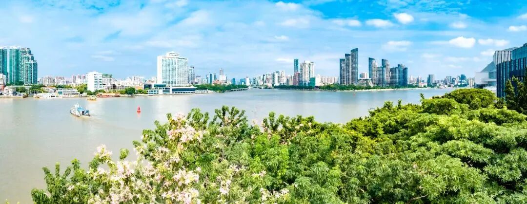 荔湾白鹅潭悦府深度测评：江景一般、商业配套不错！