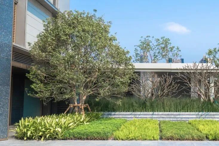 白鹅潭悦府*加推，仅凭照片就卖爆了？