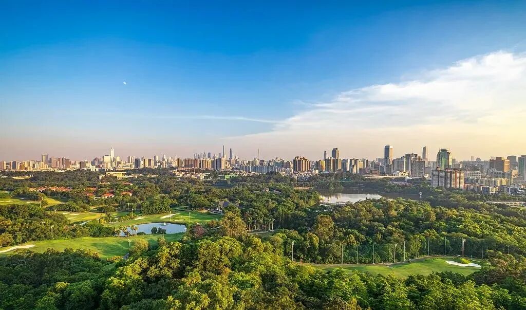 黄埔解除限购后，中鼎珺合府加推4栋，年底交楼！