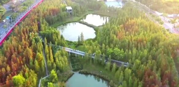 黄陂振业天成即将加推，小高层单价4.1万？