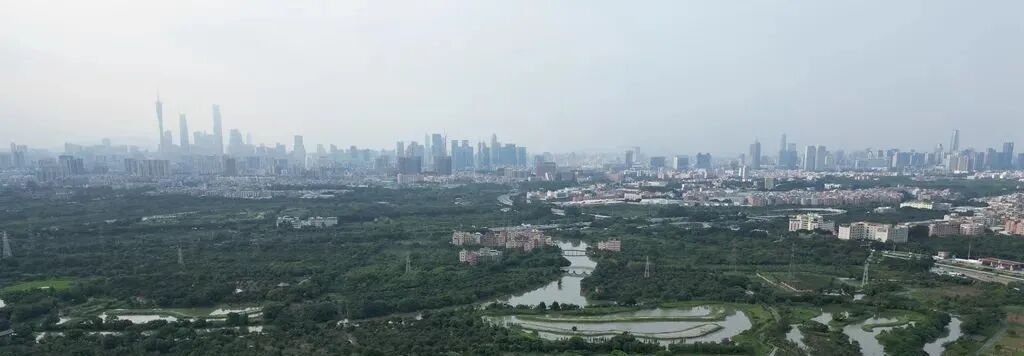 海珠接连拍出高价地，珠光海珠新城会不会涨价？