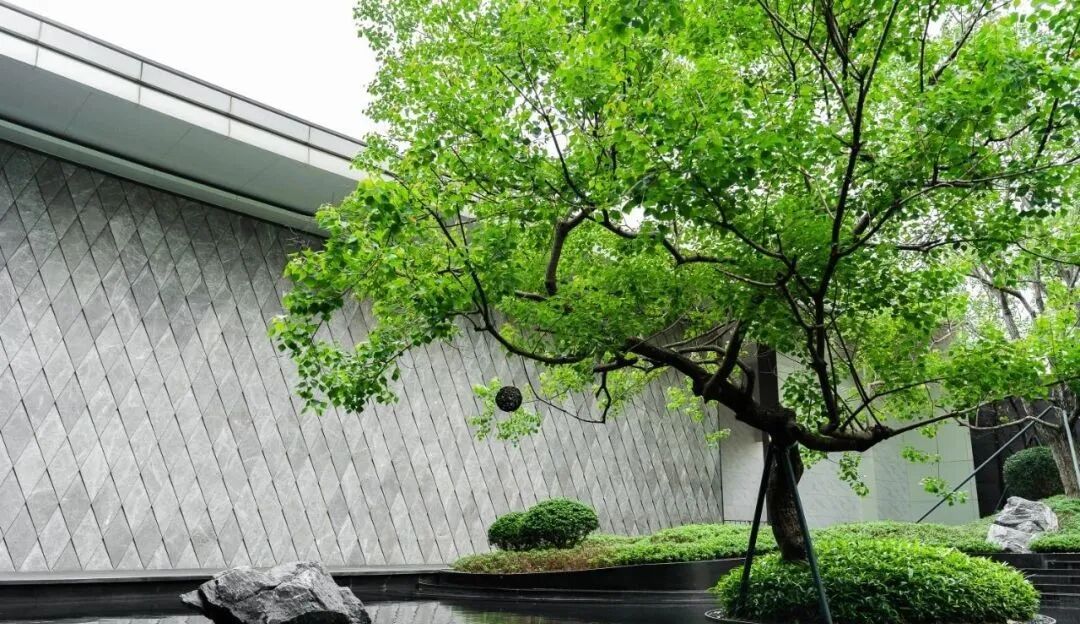 番禺保利悦公馆将在7月底交付6#栋