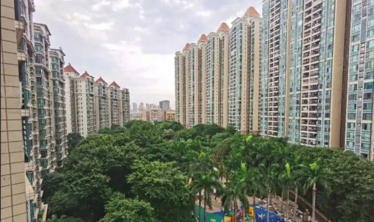 黄埔鱼珠板块前景如何？一定要注意以下几点...