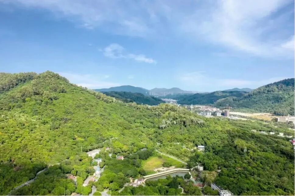 黄陂板块花语天宸97-168m²，项目有哪些配套？