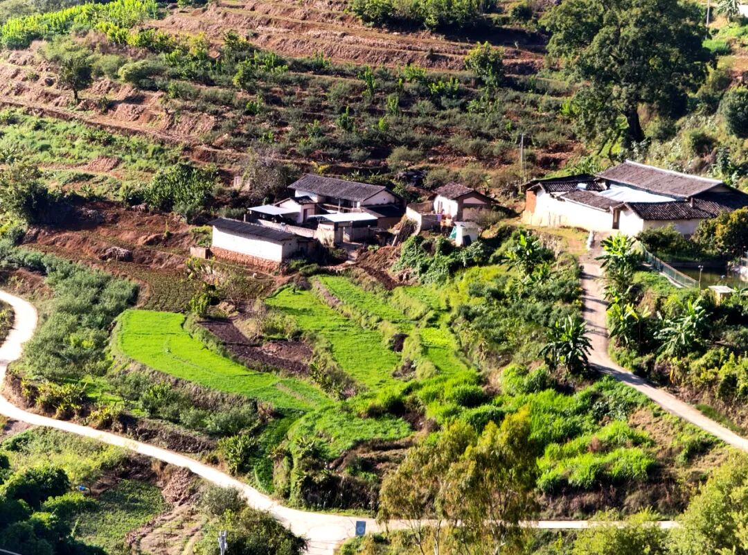 _【乡村振兴】华坪：“冬闲田”变为“增收田”冬早瓜菜种植忙_【乡村振兴】华坪：“冬闲田”变为“增收田”冬早瓜菜种植忙