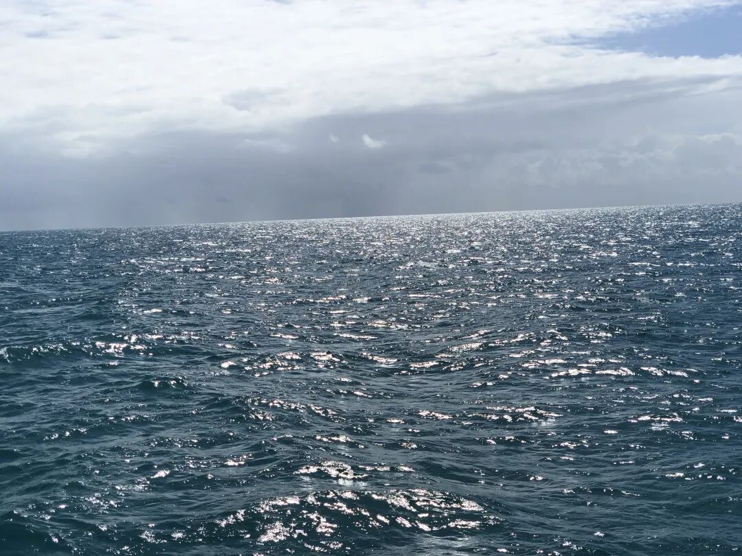 tmc深海采矿发现太平洋海底的镍