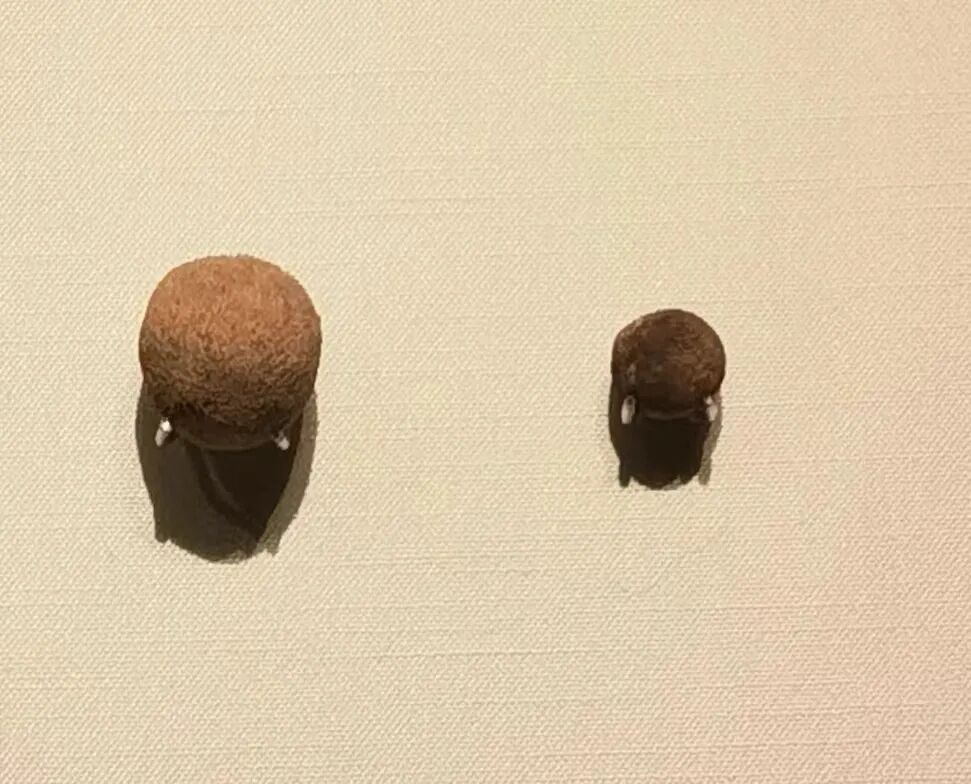 商朝的器材有哪些【“管”好文物】商朝时代的“狩猎神器”_https://www.jmylbn.com_新闻资讯_第3张