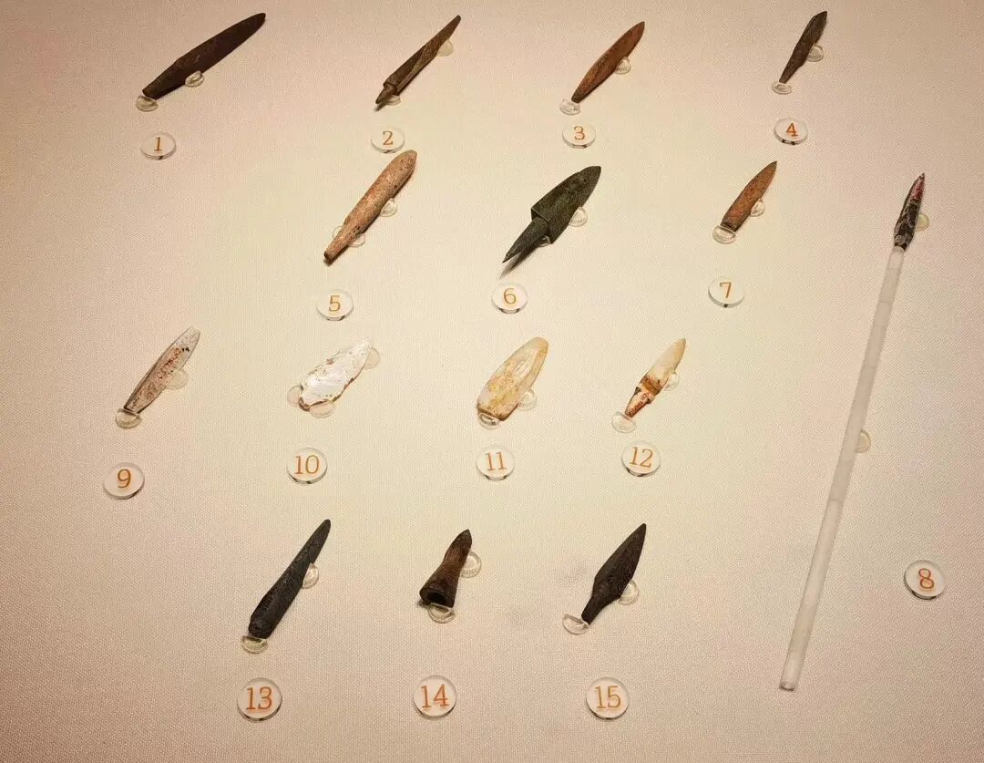 商朝的器材有哪些【“管”好文物】商朝时代的“狩猎神器”_https://www.jmylbn.com_新闻资讯_第5张