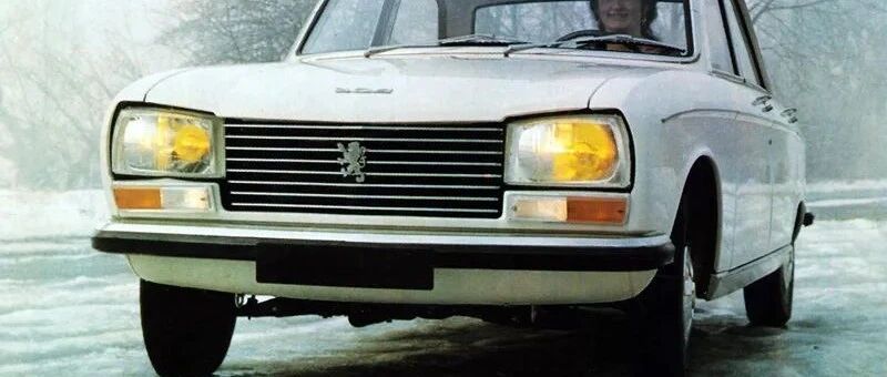 走向现代化的小狮子