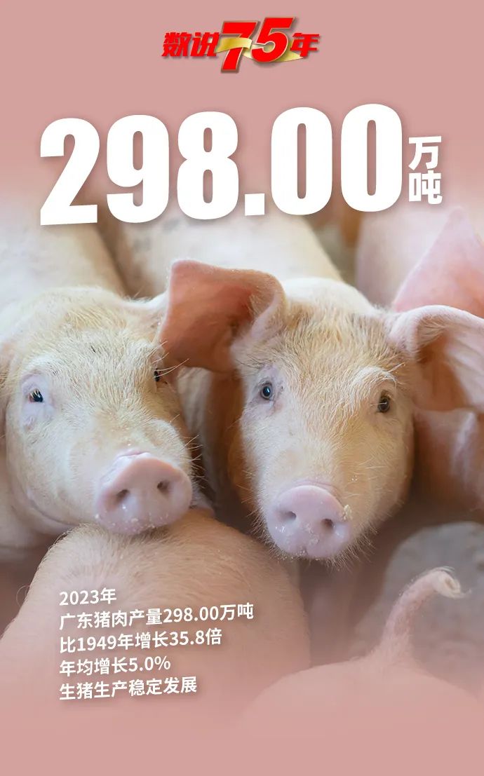 数说75年——广东