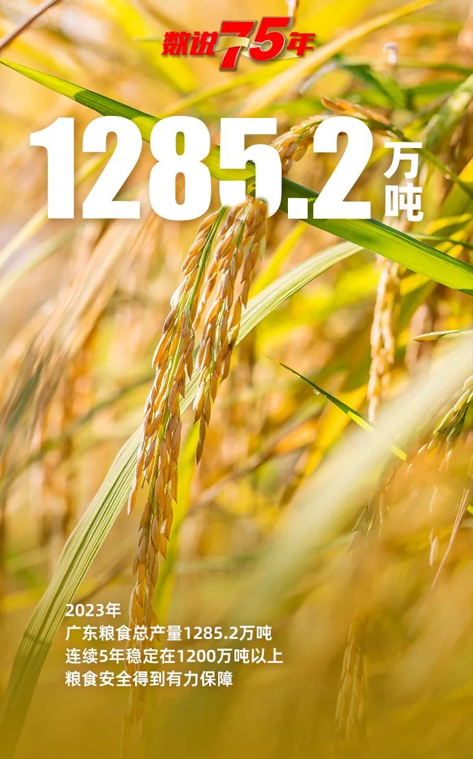 数说75年——广东