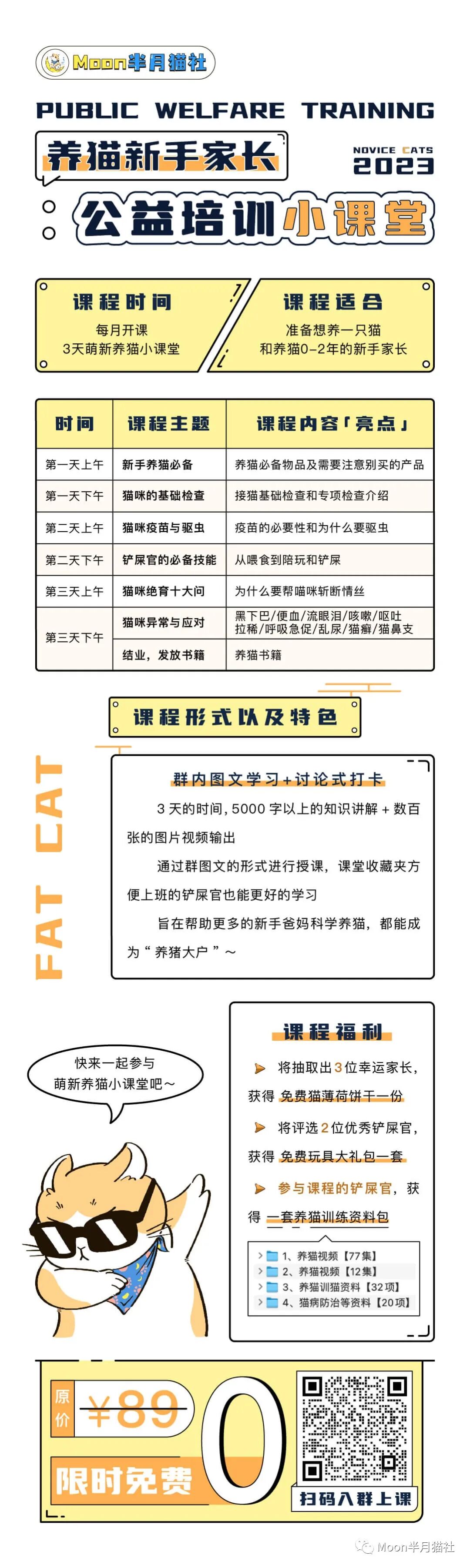 女子花2600元买猫后染上猫癣