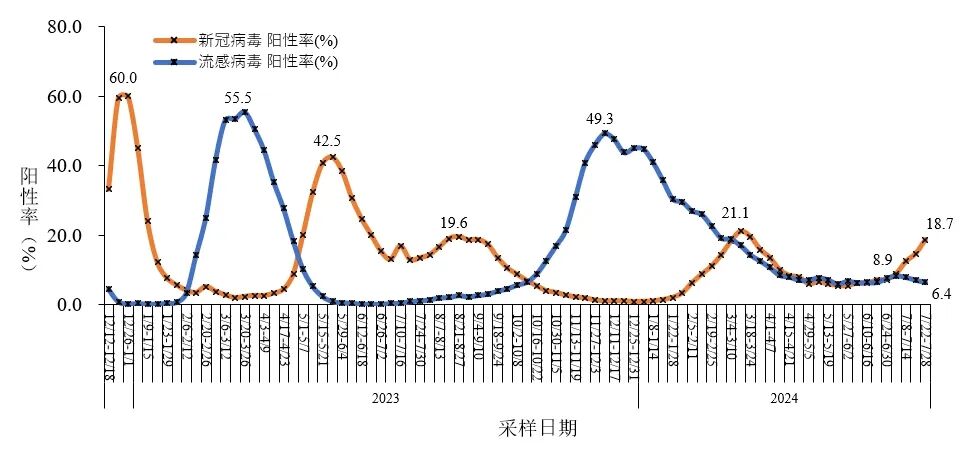 ▲全国哨点医院流感样病例新冠和流感病毒阳性率变化趋势