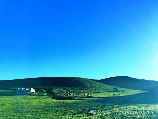 唐山凤凰旅行社电话_唐山凤凰旅行社最火的一句_唐山凤凰旅行社