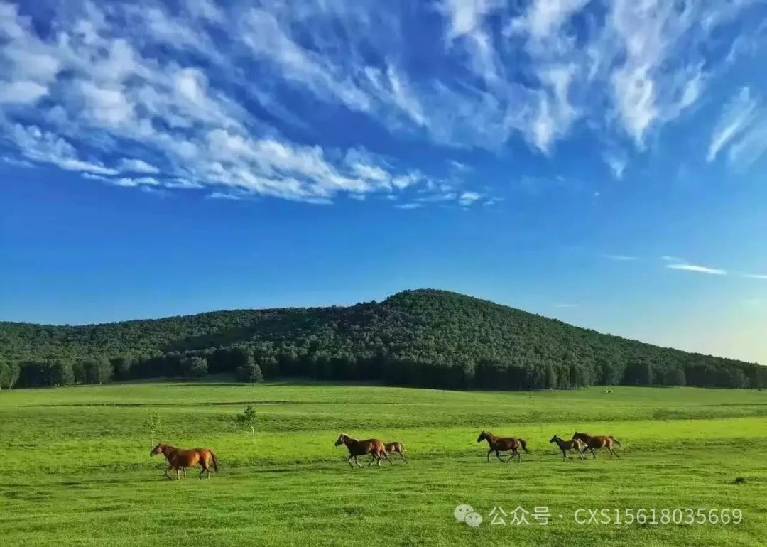 唐山凤凰旅行社电话_唐山凤凰旅行社最火的一句_唐山凤凰旅行社