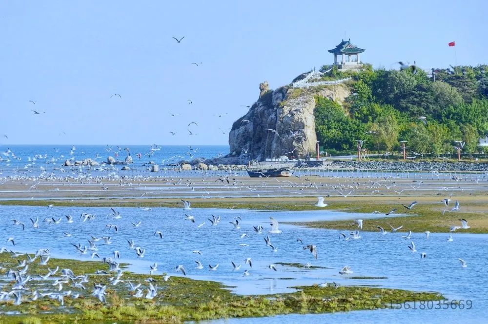 唐山凤凰旅行社_唐山凤凰旅行社电话_唐山凤凰旅行社最火的一句