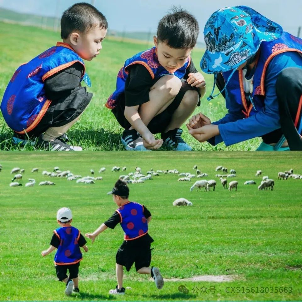 唐山凤凰旅行社_唐山凤凰旅行社电话_唐山凤凰旅行社最火的一句