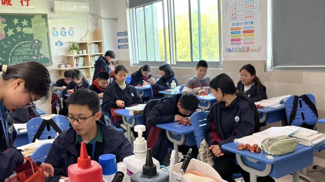 东吴外师附属实验中学师生东山雨花绿草莓哥采摘园遇见莓好
