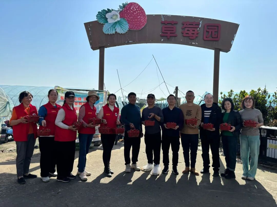 东吴外师附属实验中学师生东山雨花绿草莓哥采摘园遇见"莓"好